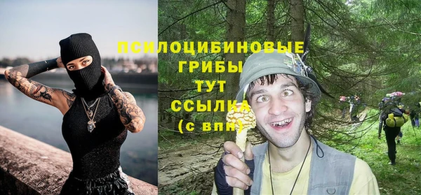 соль курить ск Дмитриев