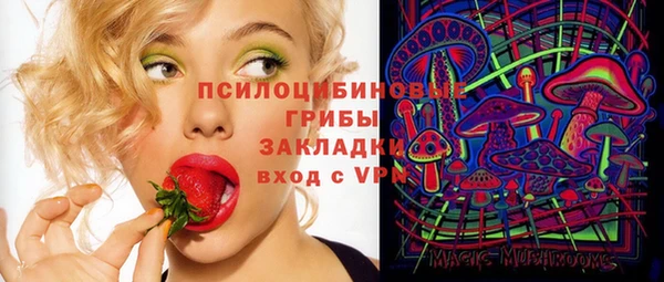 спиды Дмитров