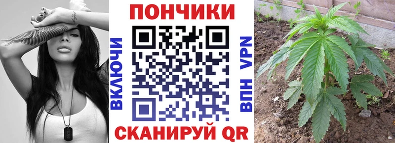 Бошки Шишки планчик  Купить где  Вязьма 